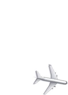 Plane Shape